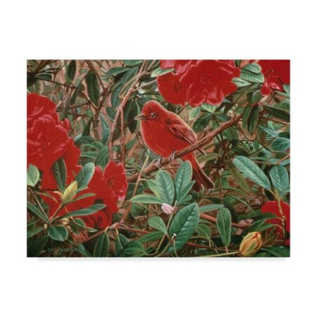 Trademark Fine Art Ron Parker 'Summer Tanager' Canvas Art, 14x19 ALI32368-C1419GG